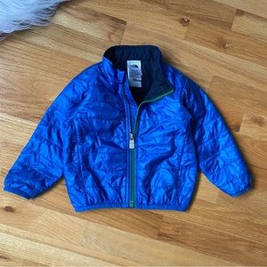 Northface Synthetic Insulated ( ThermaBall) Blue Jacket